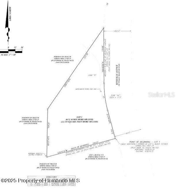5303 Keysville Ave, Spring Hill, FL 34608 photo