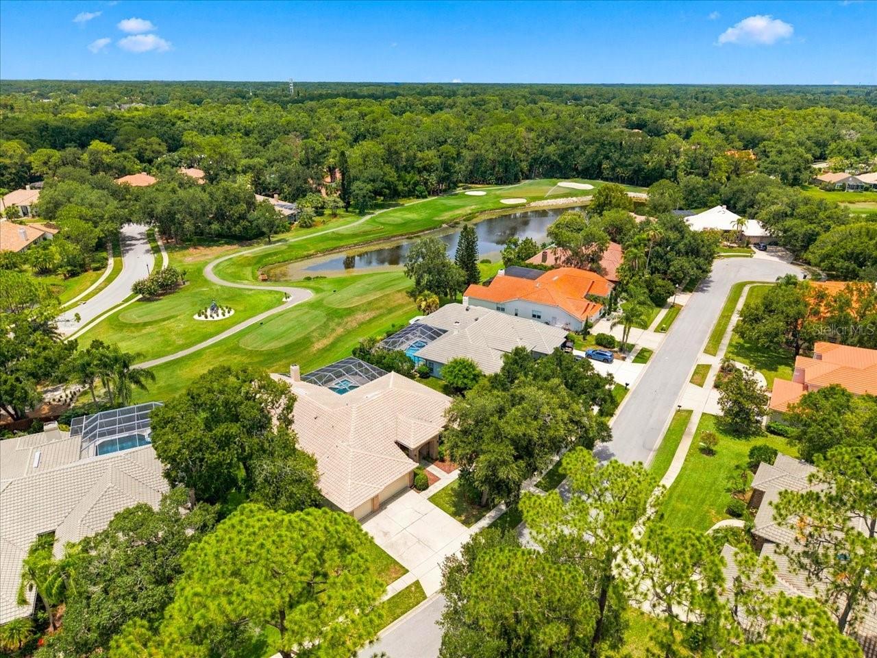 85 Kelleys Trl, Oldsmar, FL 34677 photo