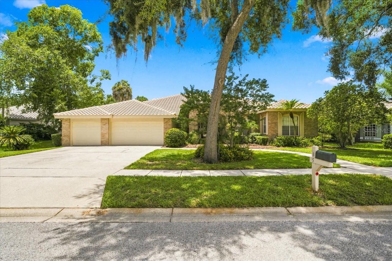 85 Kelleys Trl, Oldsmar, FL 34677 photo