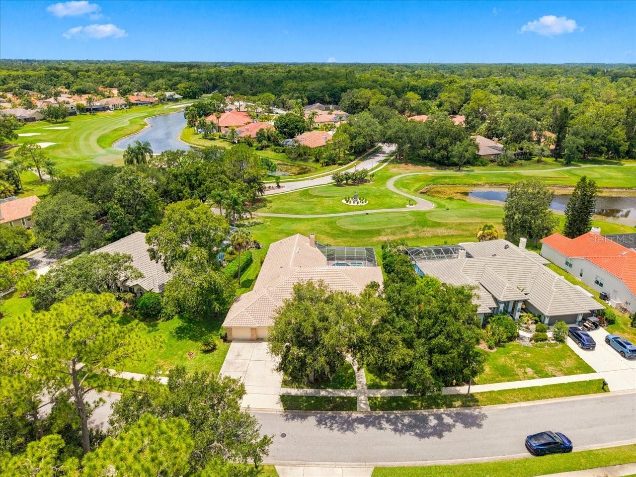 85 Kelleys Trl, Oldsmar, FL 34677 photo
