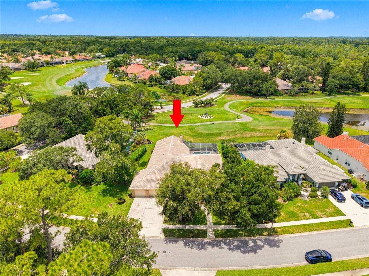 85 Kelleys Trl, Oldsmar, FL 34677 photo