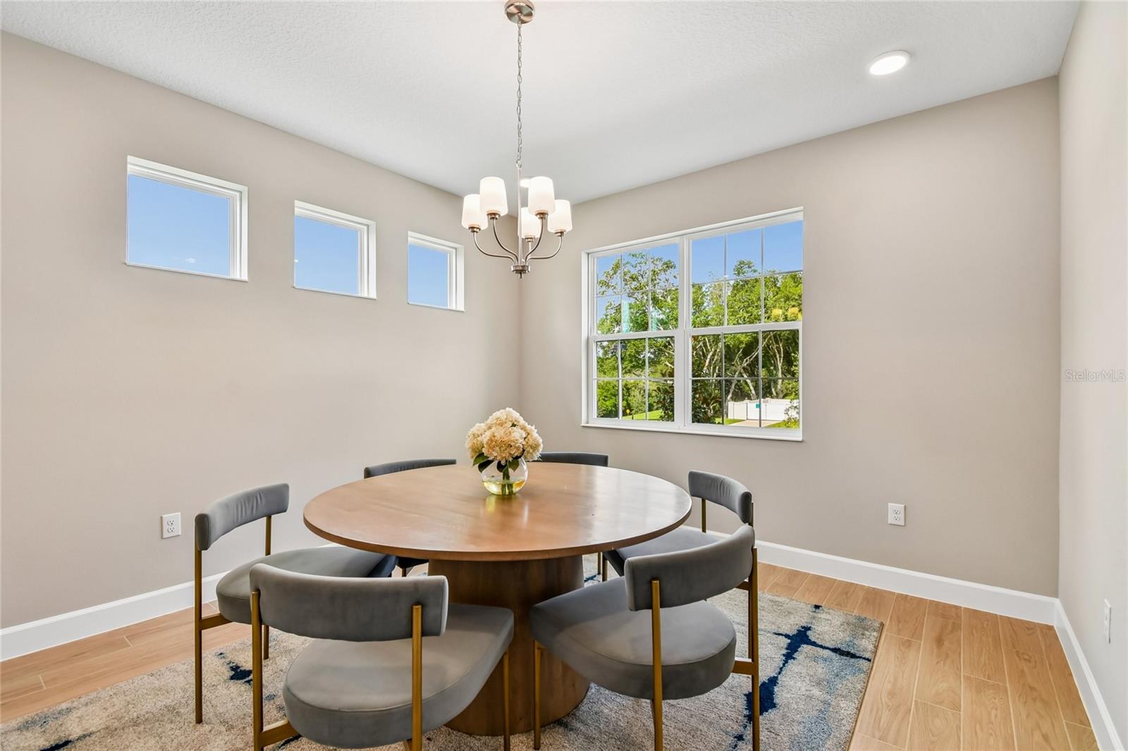 3318 Wolf Lake Ave, Apopka, FL 32712 photo