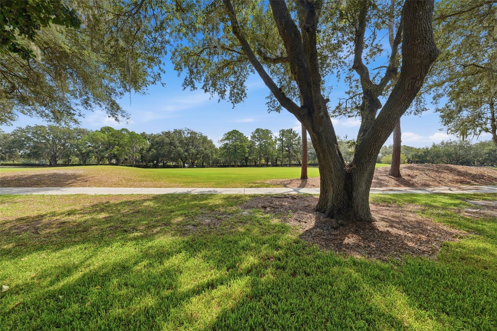1209 Barcelona Dr, The Villages, FL 32159 photo