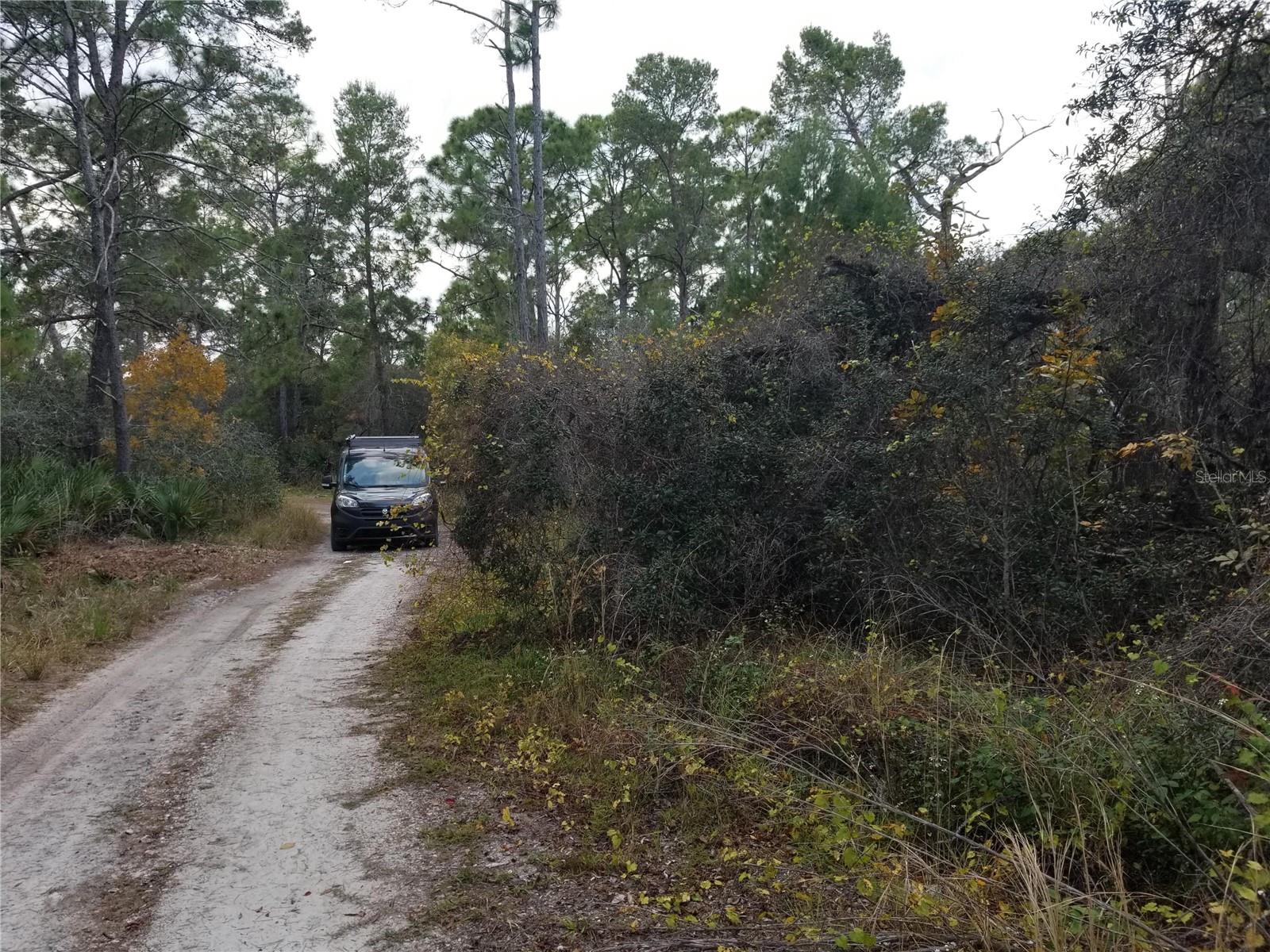 4606 Piedmont Ave, Sebring, FL 33875 photo