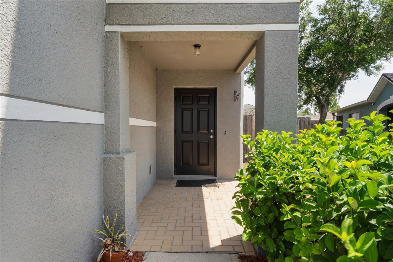 3533 Cardinal Feather Dr, Land O Lakes, FL 34638 photo