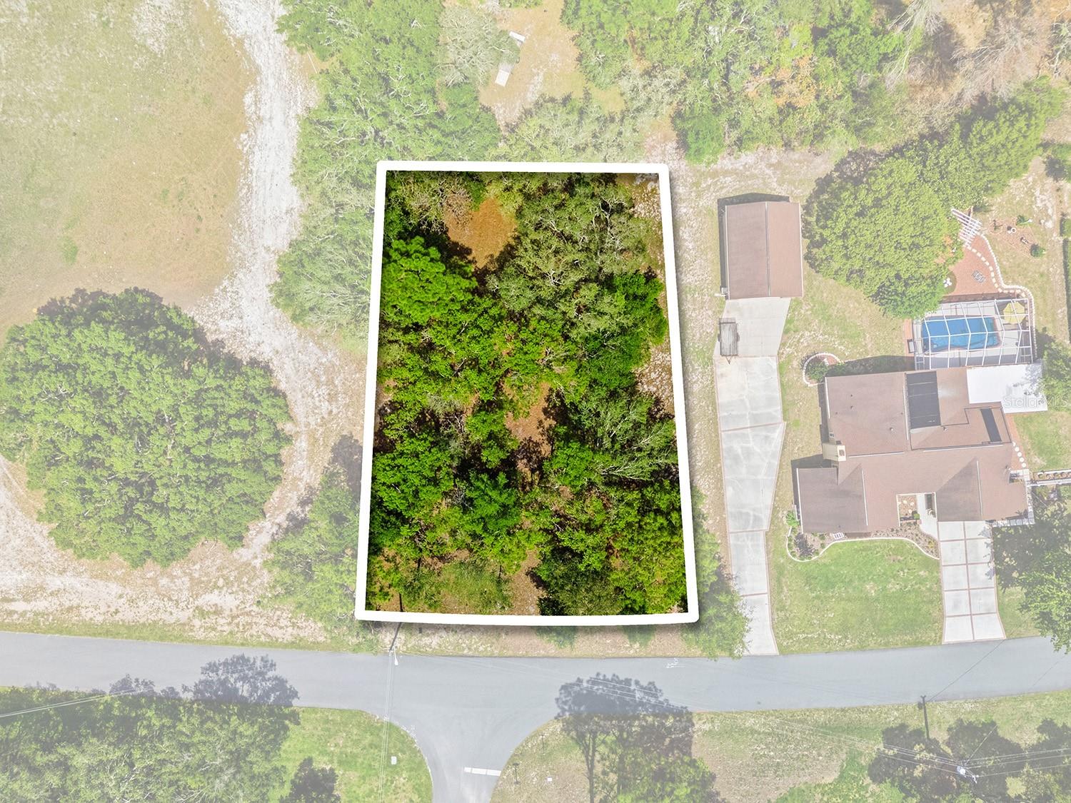 1228 Staten Ave, Spring Hill, FL 34609