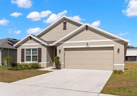 Single Family Residence in WIMAUMA FL 16750 SUNBURST LAKE STREET.jpg