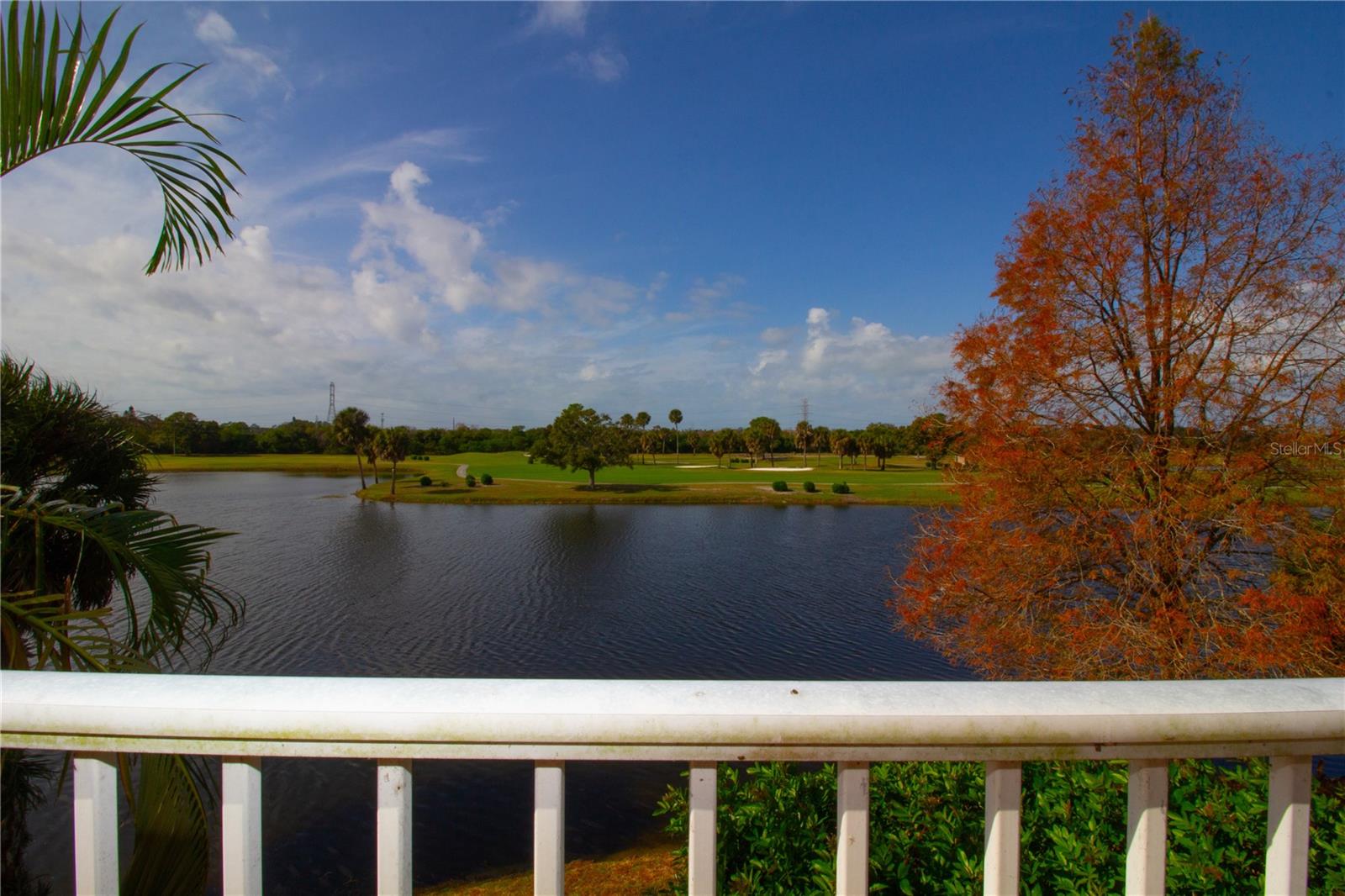 1200 Country Club Dr #1101, Largo, FL 33771 photo
