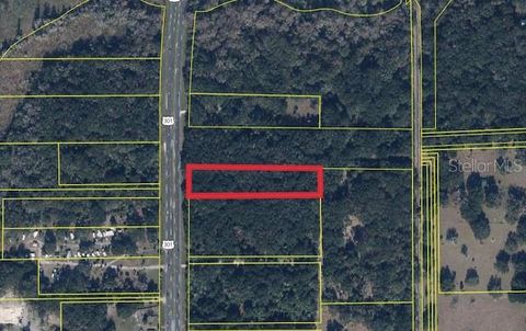  in CITRA FL HWY 301.jpg