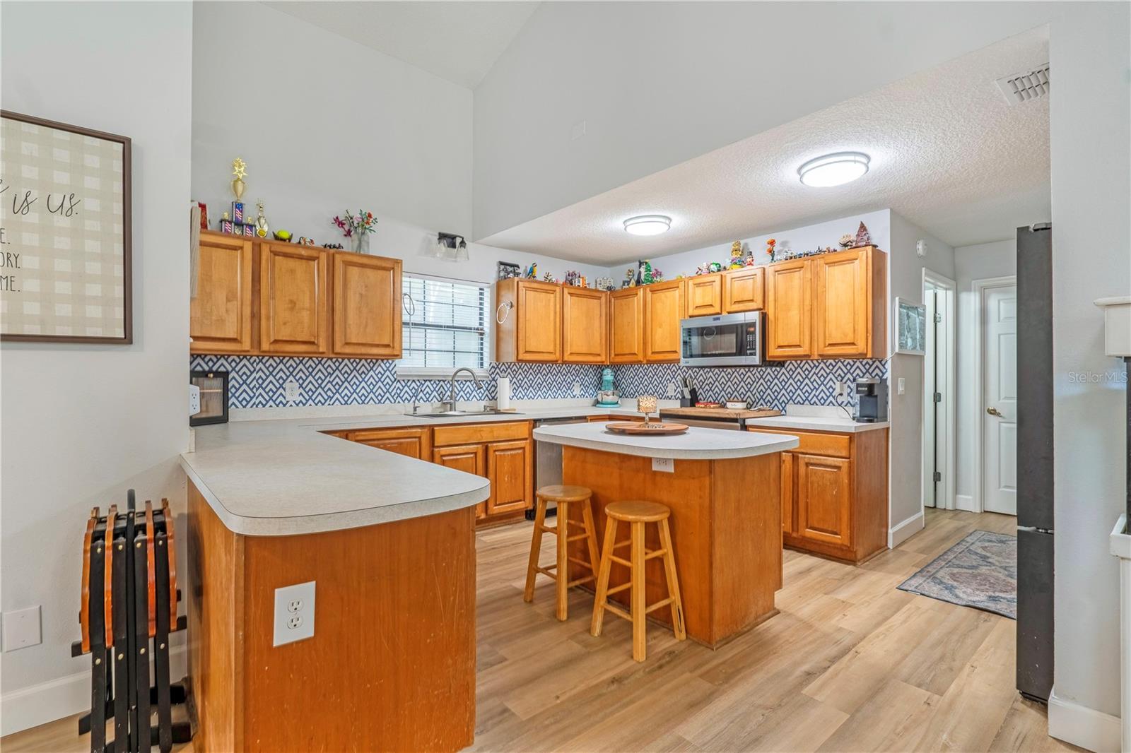 425 Black Ironwood Dr, Deland, FL 32724 photo