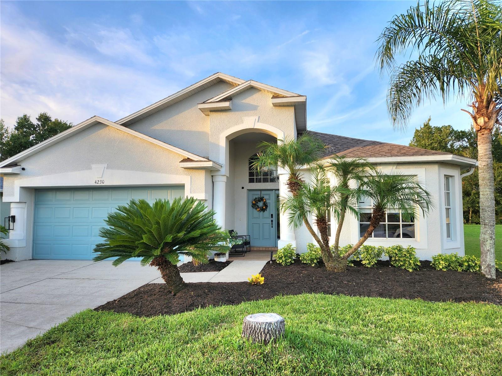 4230 Medbury Dr, Wesley Chapel, FL 33543