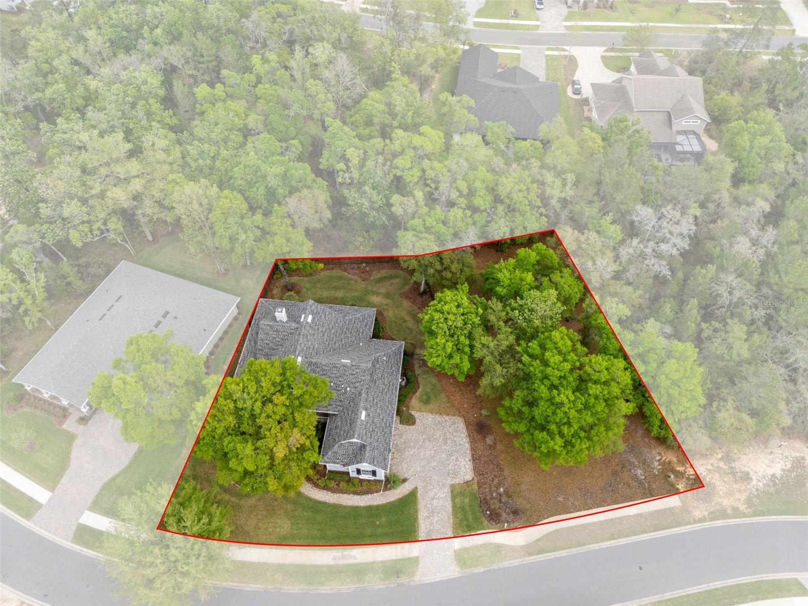 6096 Dusk Rose Ln, Brooksville, FL 34601 photo
