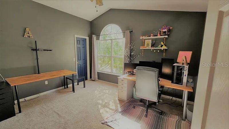 254 Bridge Creek Blvd, Ocoee, FL 34761 photo