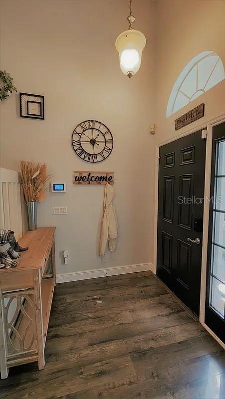254 Bridge Creek Blvd, Ocoee, FL 34761 photo