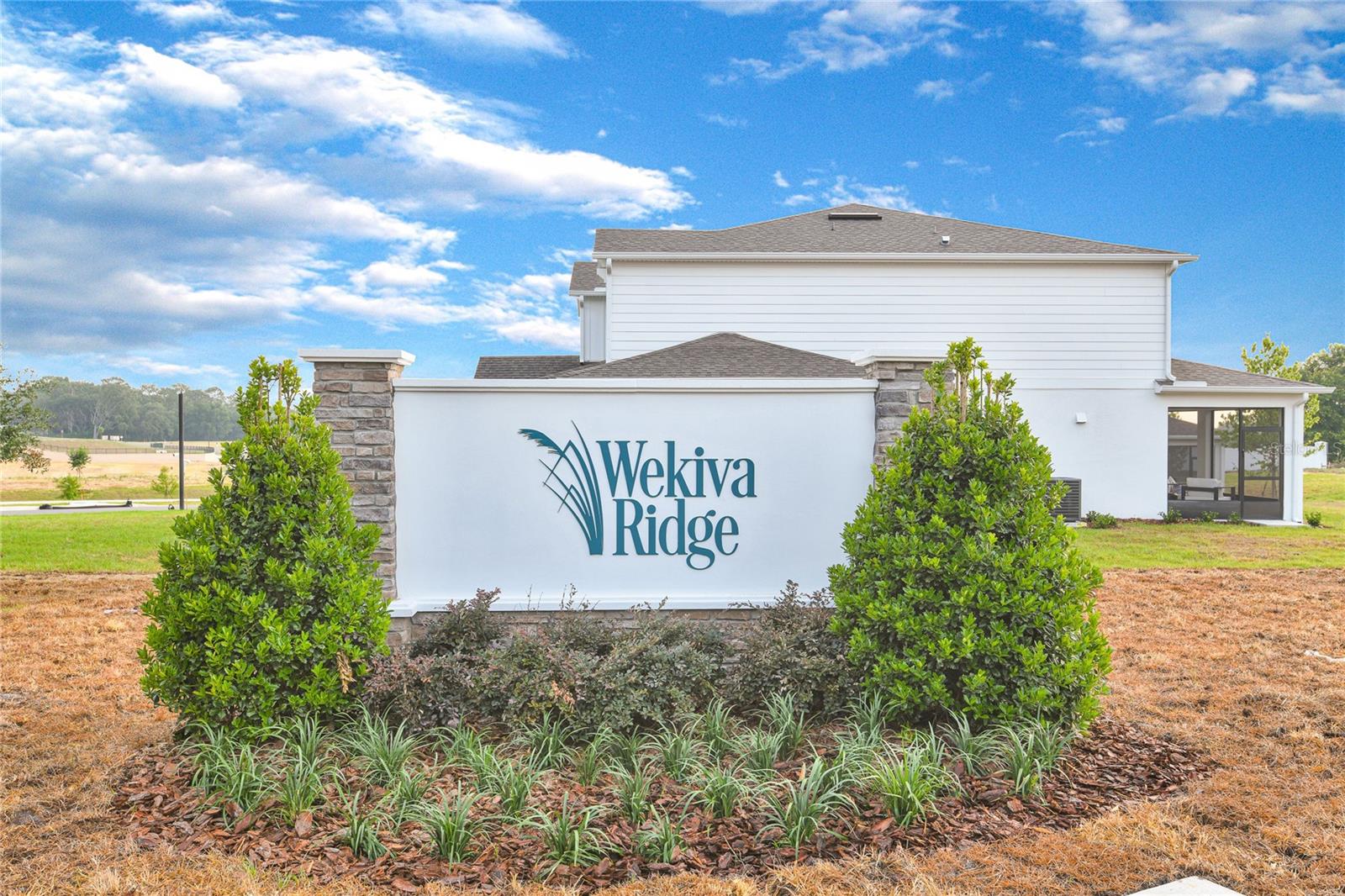 3716 Deer Ridge Dr, Mount Dora, FL 32757 photo