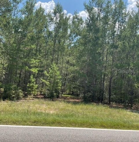  in FLORAHOME FL 1140 CORAL FARMS ROAD.jpg