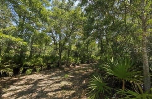 1231 Camilo St, Lake Placid, FL 33852 photo