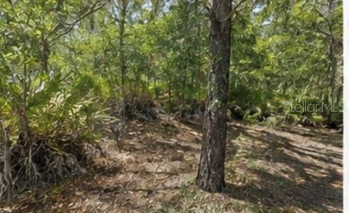 1231 Camilo St, Lake Placid, FL 33852 photo