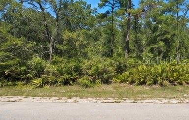 1231 Camilo St, Lake Placid, FL 33852 photo