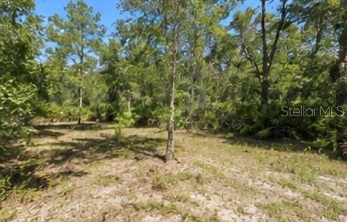 1231 Camilo St, Lake Placid, FL 33852 photo