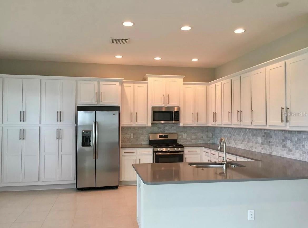 30791 Lindentree Dr, Wesley Chapel, FL 33543 photo