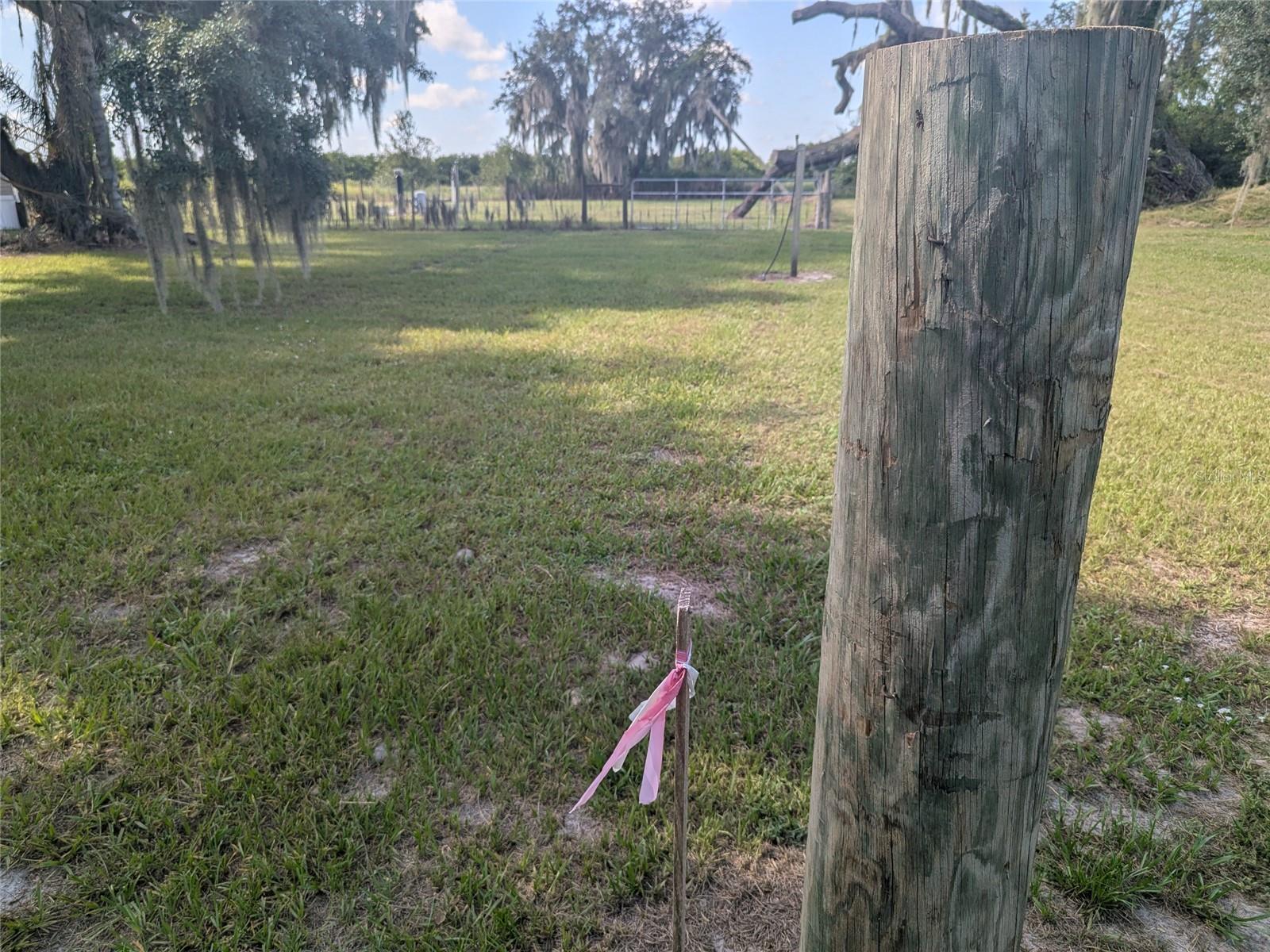 3193 NE Davis St, Arcadia, FL 34266 photo