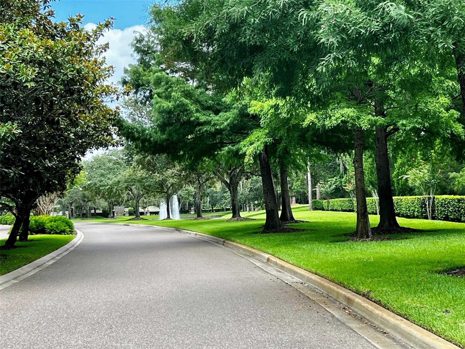 1731 Dogwood Forest Way, Lake Mary, FL 32746 photo