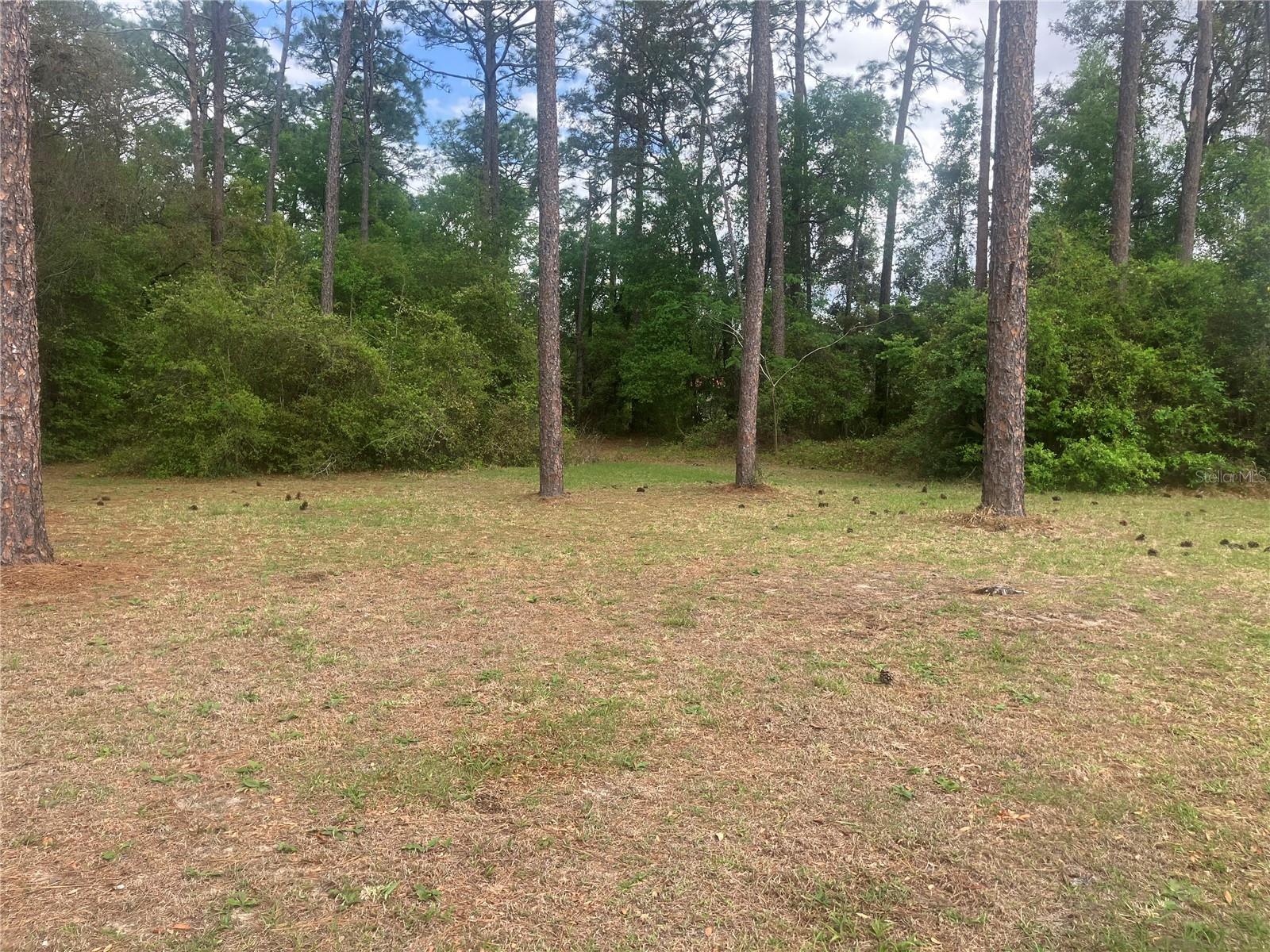 SE 19th Place Se 19th Place, Silver Springs, FL 34488 photo