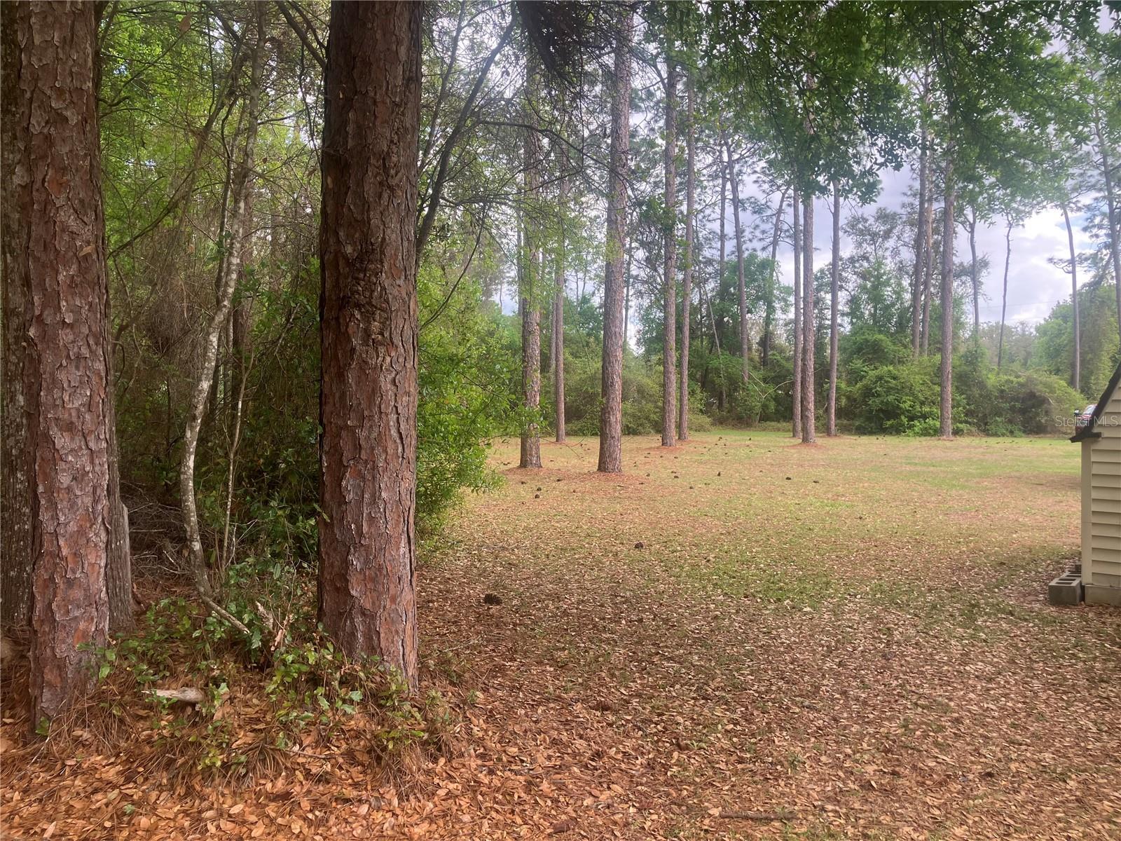 SE 19th Place Se 19th Place, Silver Springs, FL 34488 photo