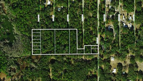  in FORT MC COY FL TBD NE 137TH COURT.jpg