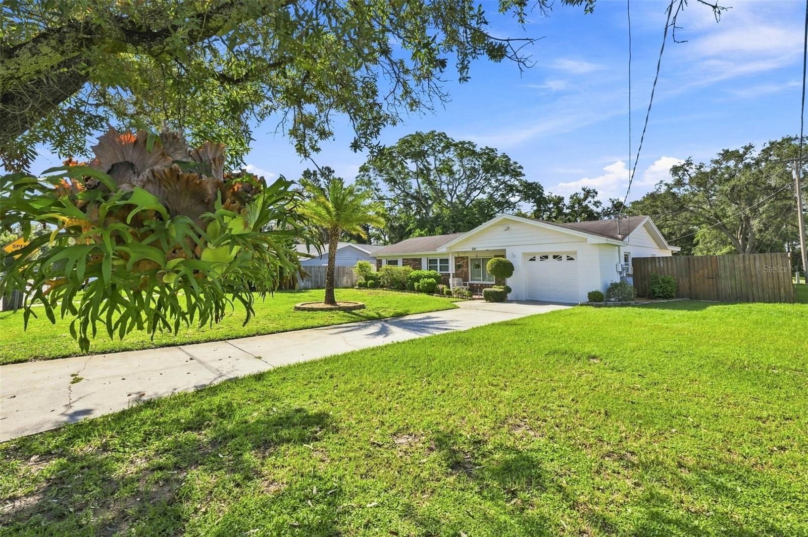 518 W 129 Ave, Tampa, FL 33612 photo