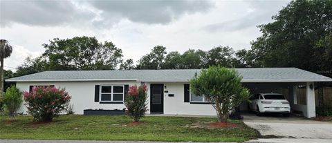 Single Family Residence in TAVARES FL 205 GARY STREET.jpg