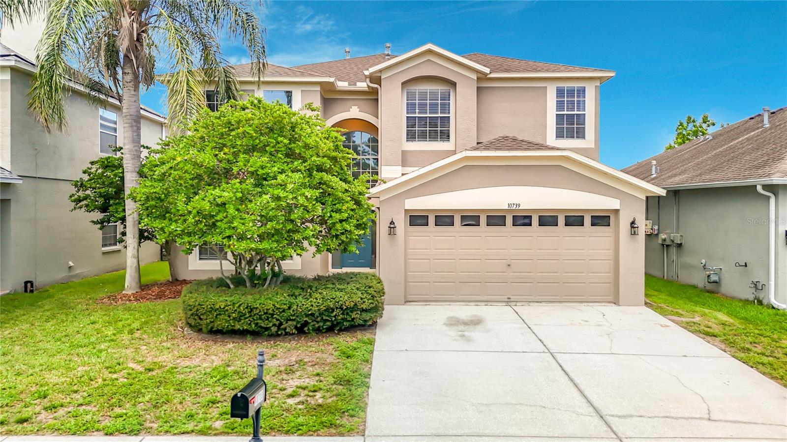 10739 Eveningwood Ct, Trinity, FL 34655 photo
