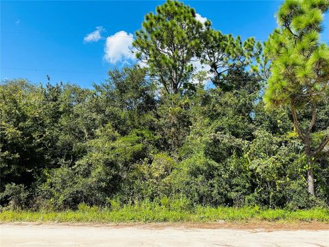 in SATSUMA FL 106 SUNLAND DRIVE.jpg