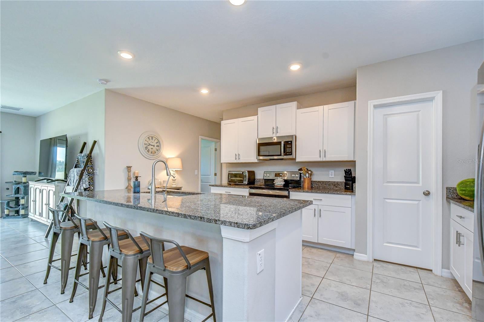 17917 Cloudless Bliss Dr, Lutz, FL 33558 photo