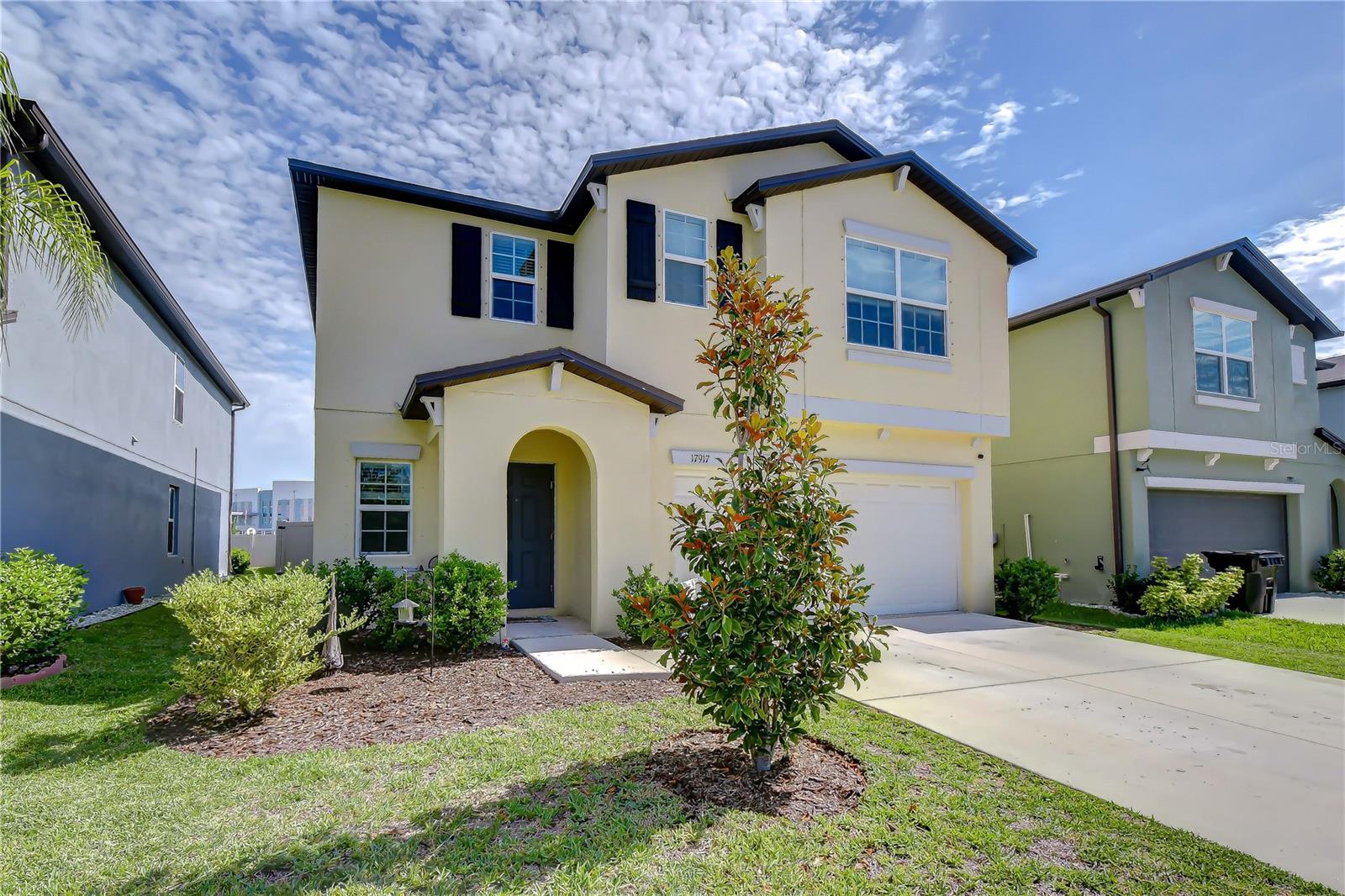 17917 Cloudless Bliss Dr, Lutz, FL 33558 photo