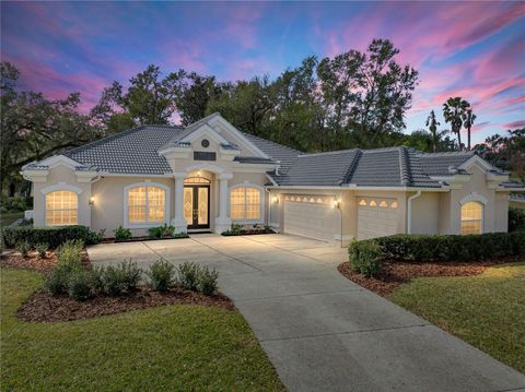 Single Family Residence in DADE CITY FL 12632 OAK HOLLOW COURT.jpg