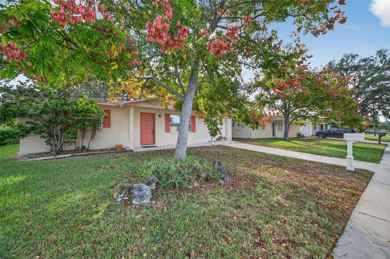 10102 Glen Moor Ln, Port Richey, FL 34668 photo