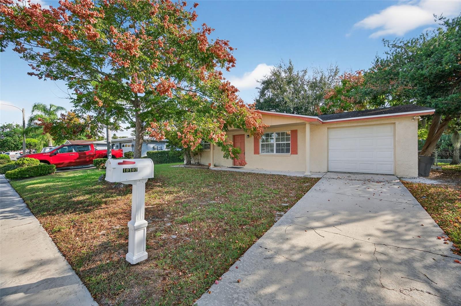 10102 Glen Moor Ln, Port Richey, FL 34668 photo