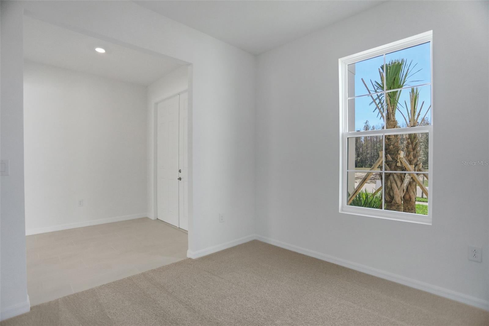 17584 Valleywood Pkwy, Land O Lakes, FL 34638 photo