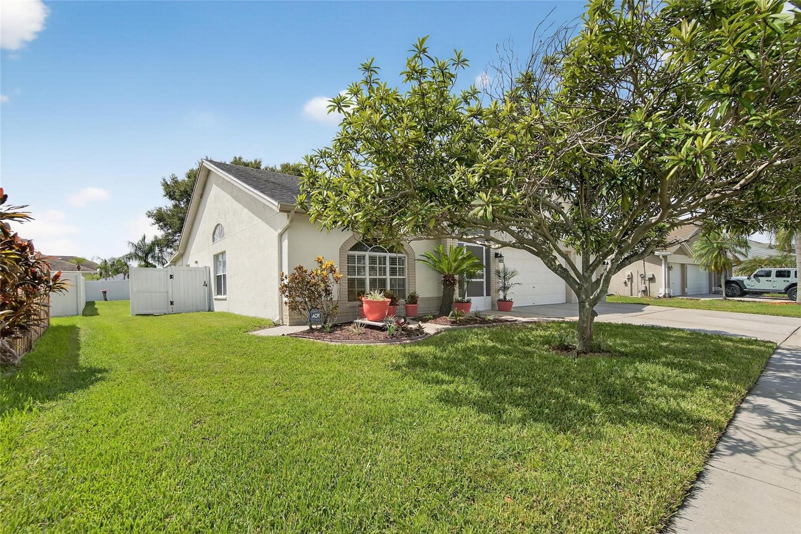 13029 Prestwick Dr, Riverview, FL 33579 photo
