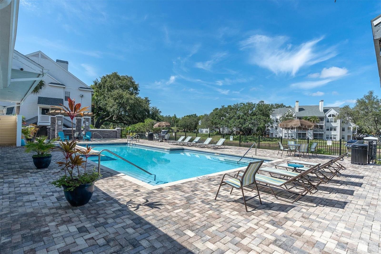 3313 Haviland Ct #203, Palm Harbor, FL 34684 photo