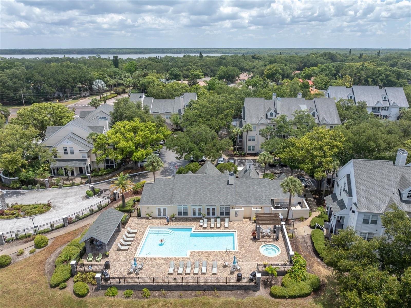 3313 Haviland Ct #203, Palm Harbor, FL 34684 photo