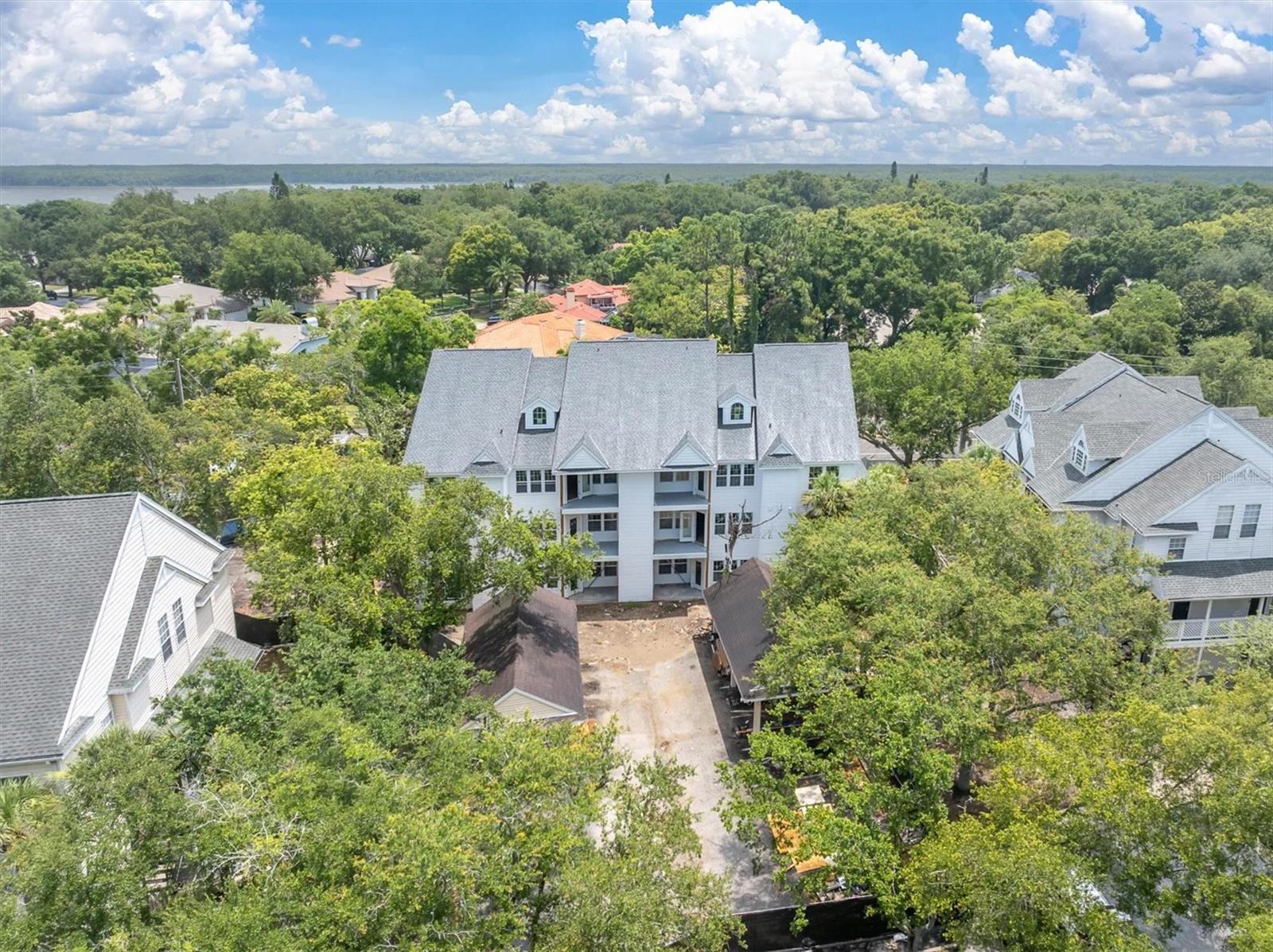 3313 Haviland Ct #203, Palm Harbor, FL 34684 photo