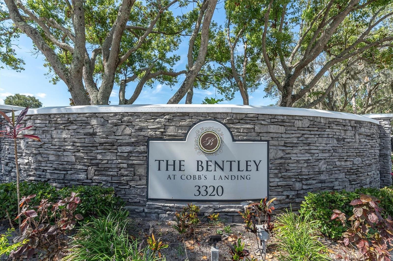 3313 Haviland Ct #203, Palm Harbor, FL 34684 photo