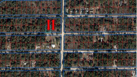  in WILLISTON FL TBA NE 66 STREET/65 LANE.jpg