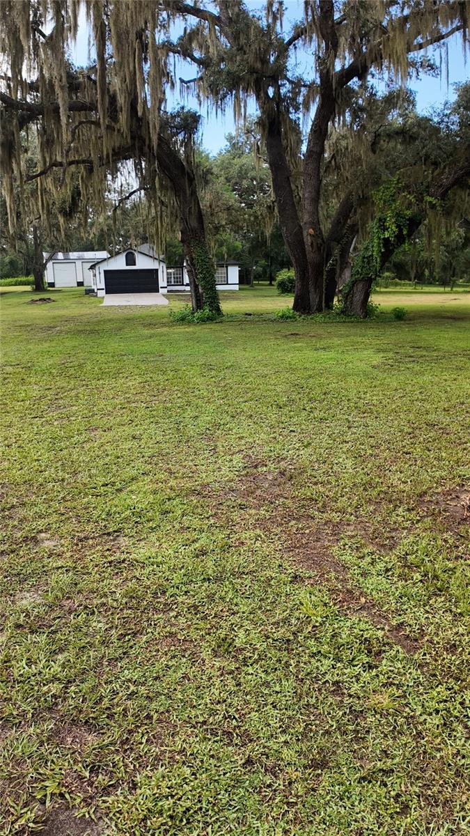 26348 Crooked Tree Ln, Brooksville, FL 34602 photo