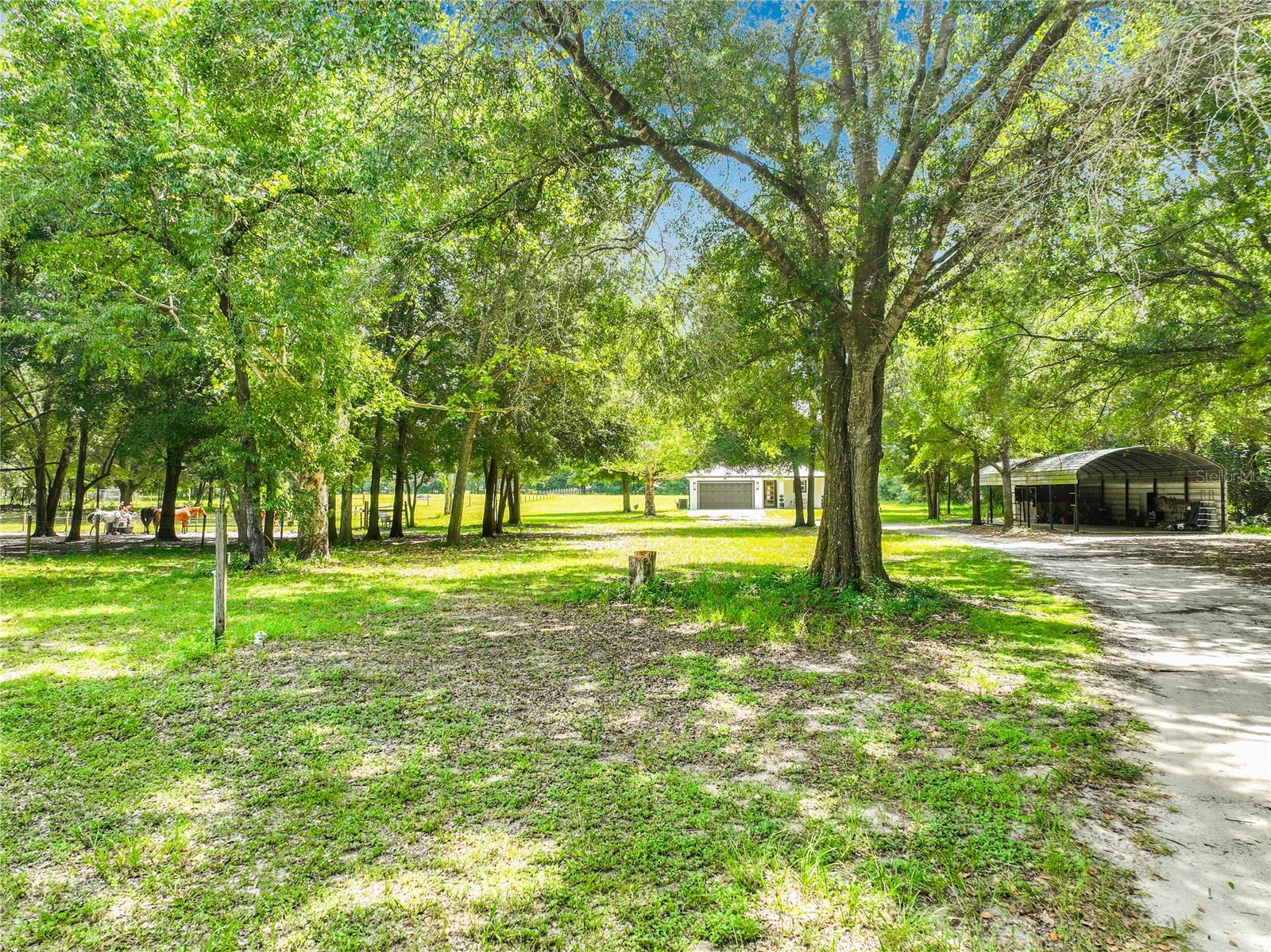 34814 William Ln, Eustis, FL 32736 photo