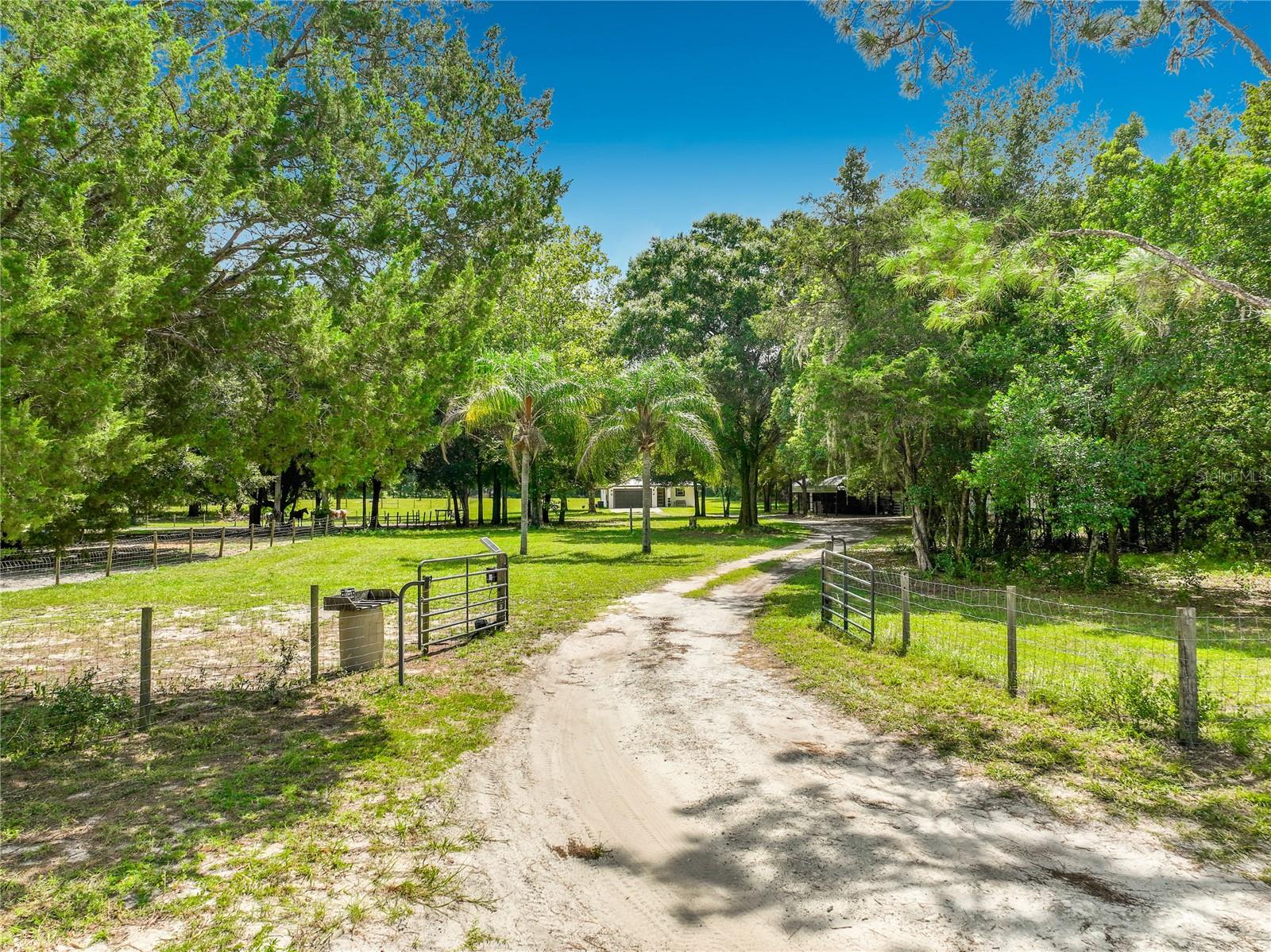 34814 William Ln, Eustis, FL 32736 photo