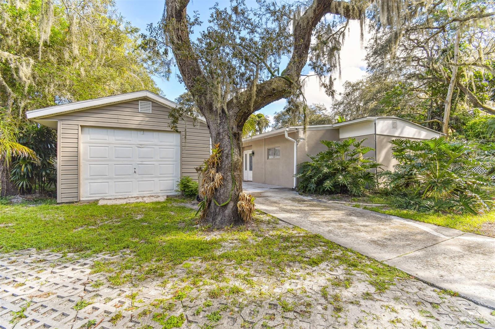 414 Joyce Ave, Temple Terrace, FL 33617 photo